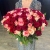 Букет 151 роза красный микс (50 см) в Долгопрудном