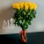 Букет 25 желтых роз эквадор (60 см) в Долгопрудном